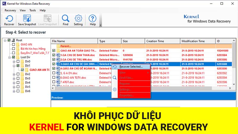 Khôi phục dữ liệu Kernel for Windows Data Recovery – Cứu dữ liệu ổ cứng